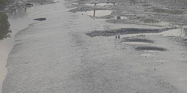 Belum Ada kepedulian Pemeritah Daerah Kabupaten Bengkulu Utara